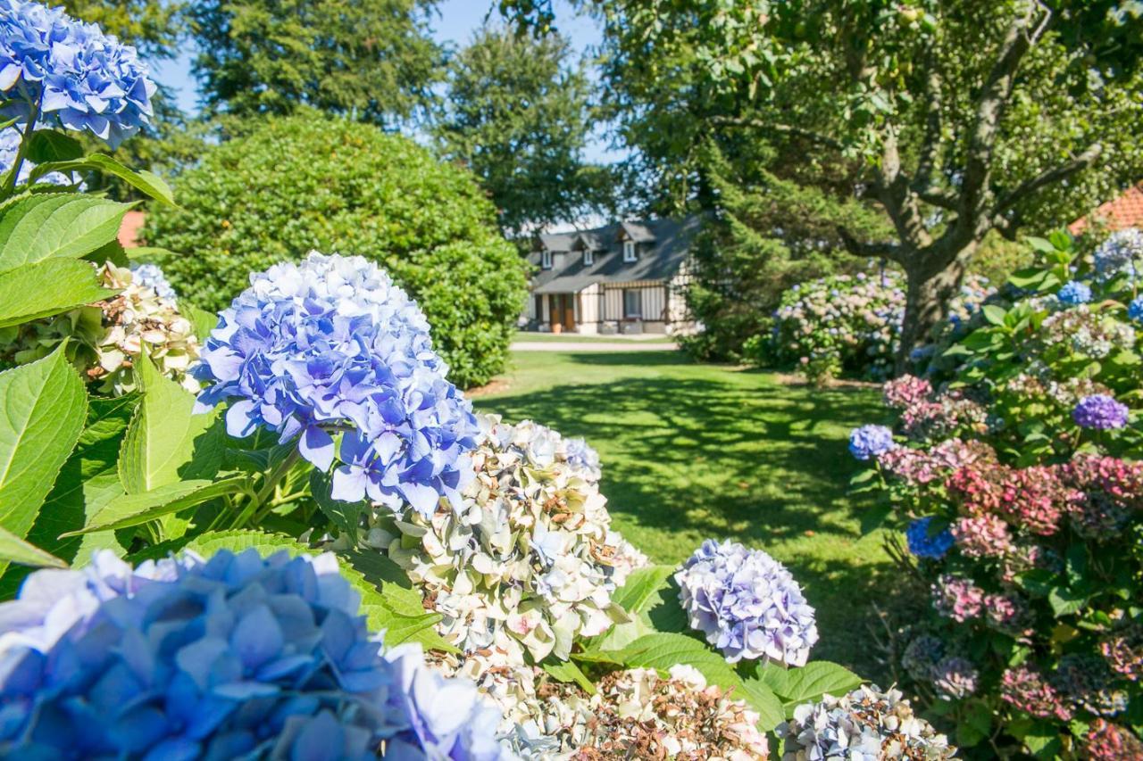 Clos Celeste - Campagne D Etretat Avec Piscine Et Spa (Adults Only) Écrainville Exteriör bild